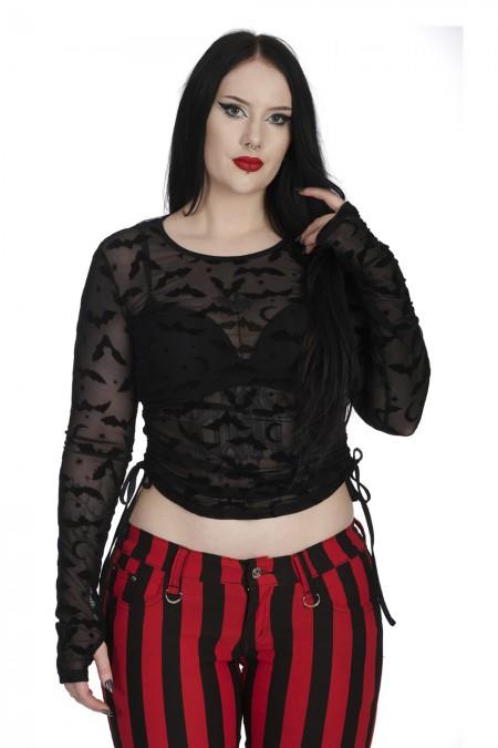 Groove is all TP10642