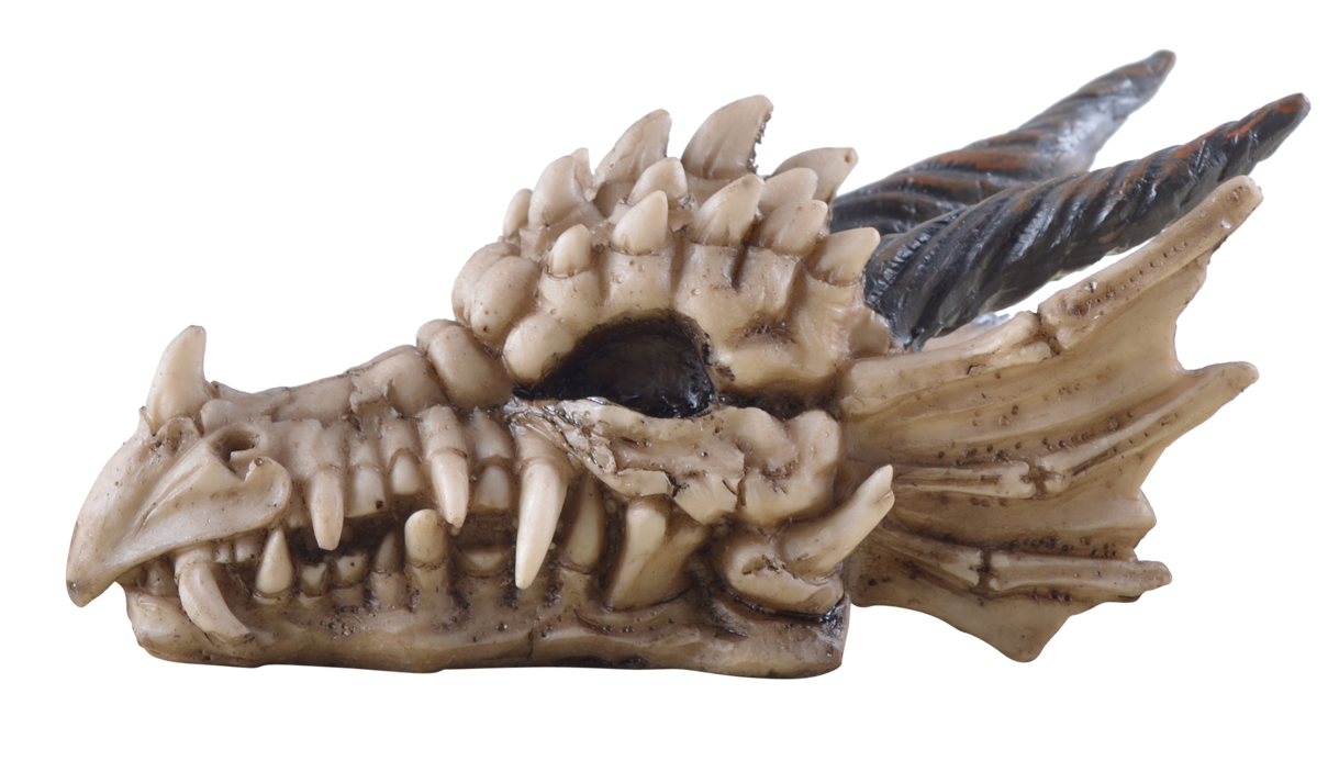 Drachenschädel Skel. 816-4289