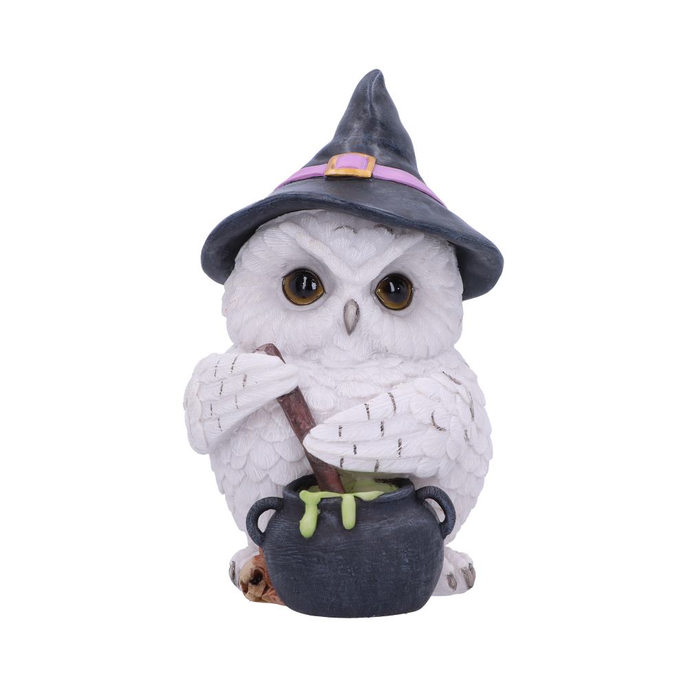 Owl Potion